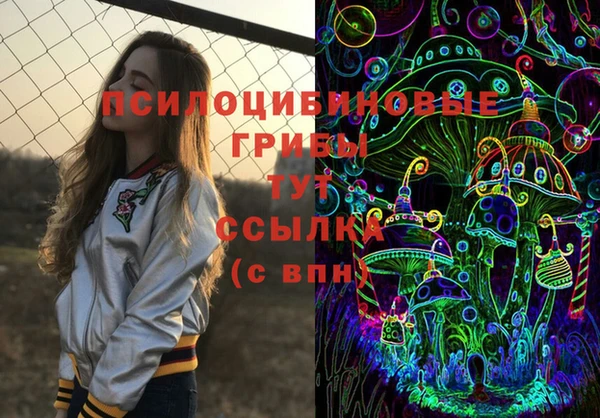 прущий лед Алексин
