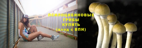 мет Абинск