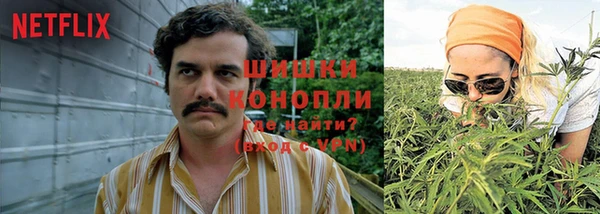 PSILOCYBIN Абдулино
